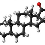 精神疾患とセロトニン、ドーパミン、アドレナリンの関係性