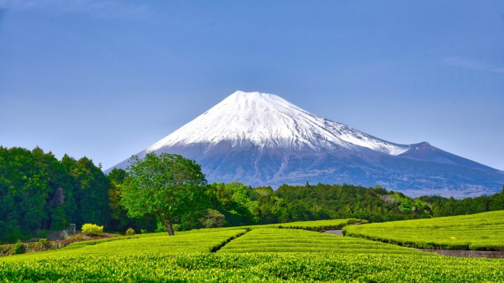 全国の就労支援事業所のユニークな取り組み〜静岡県〜