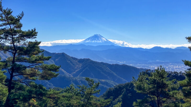 【2026年版最新】障害者手帳で受けられる山梨県の支援サービスや割引・減免制度一覧