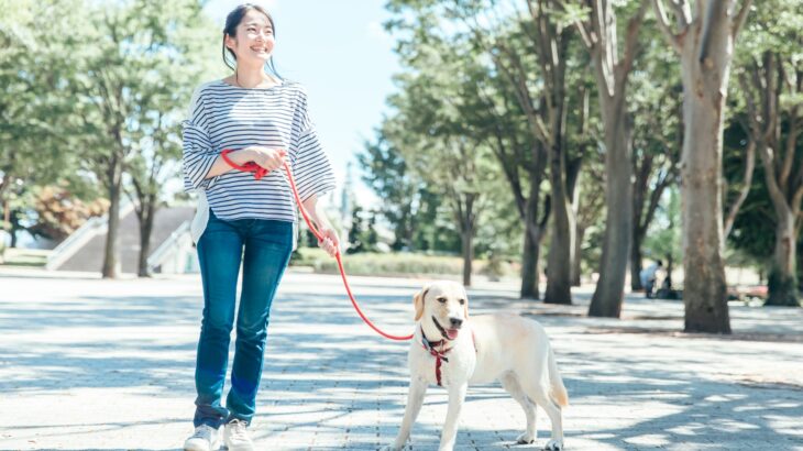 視覚障害者の「読む」が変わる日——点字図書館のデジタル化が進む陰で、行政の情報発信に残る死角